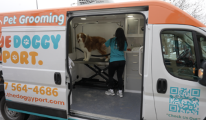 The “Driveway Spa”: Why The Doggy Port Mobile Grooming is the Ultimate Life Hack