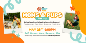 Celebrating Dog Moms Everywhere: A Special Mother’s Month at The Doggy Port